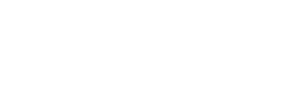 Naseer Foundation Logo White 2